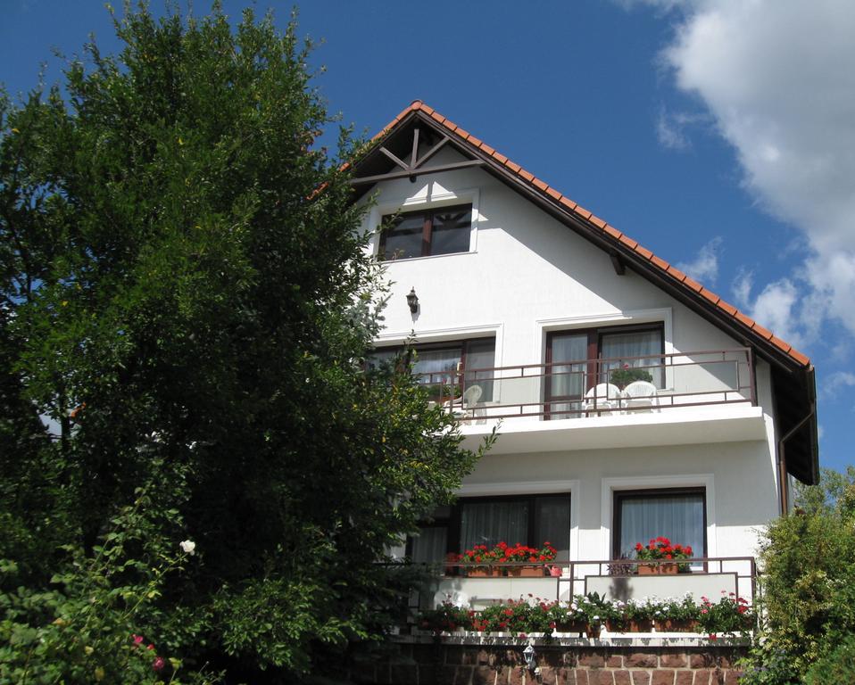 Hotel Barcza Vendeghaz Balatonfüred Exterior foto